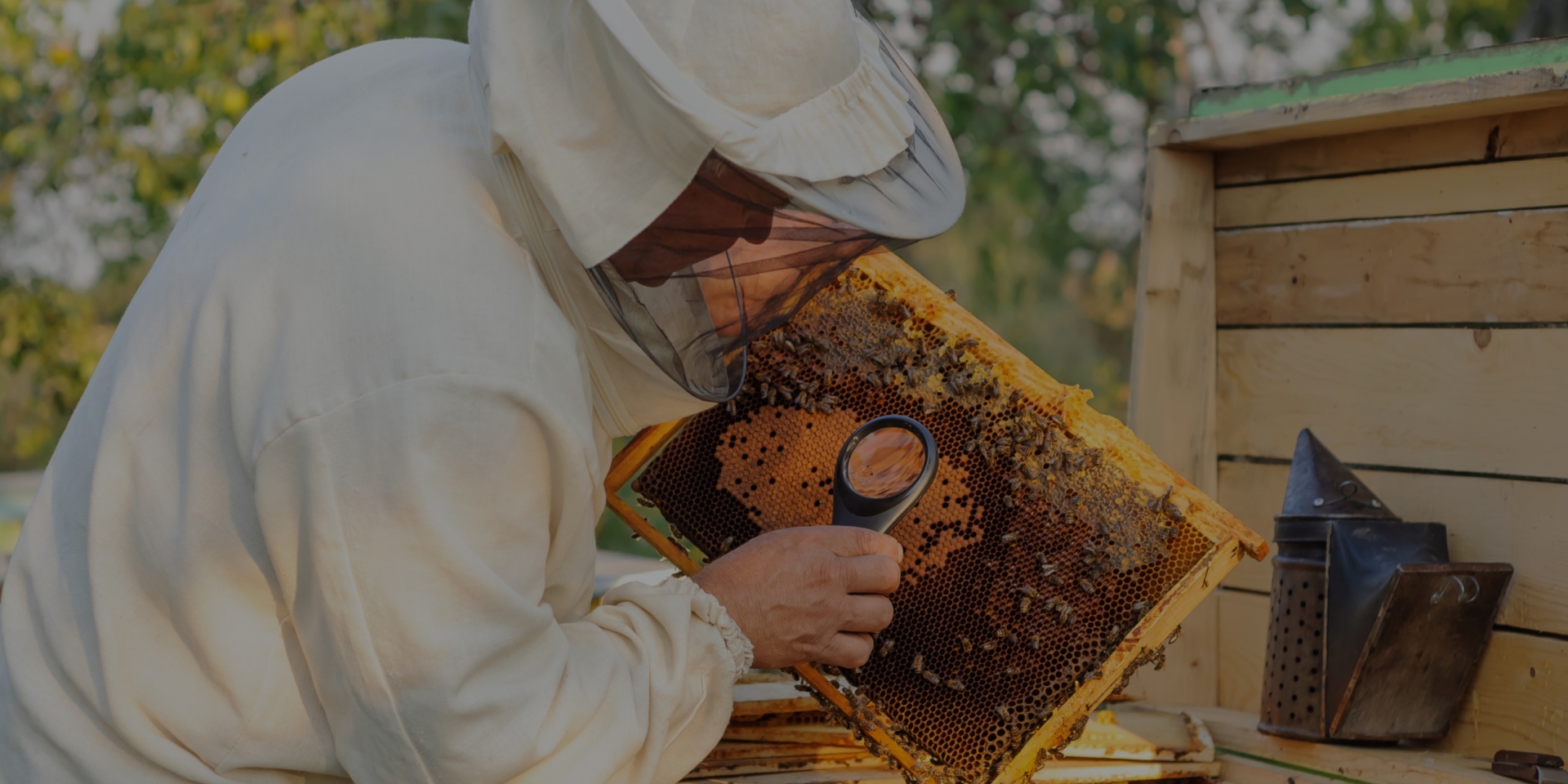 Hive Health Best Management Practices - Honey Bee Health Coalition