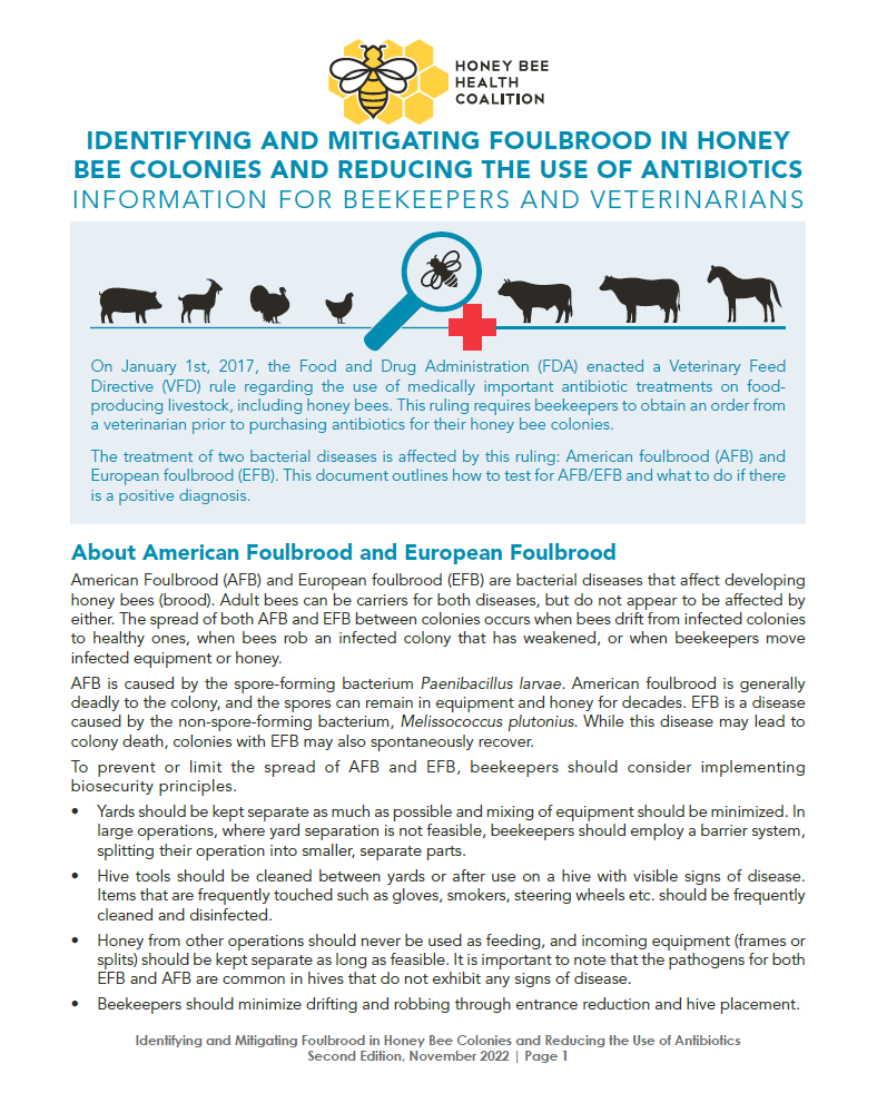 Honey Bee Health Coalition Releases Second Edition of Foulbrood ...